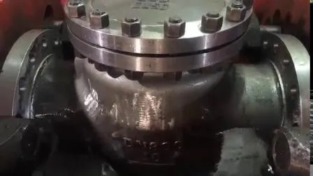 Cast Steel Swing Check Valve 