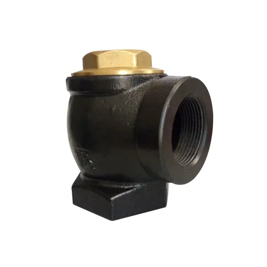 High Quality China Supplies ′s Casting Angle Check Valve 