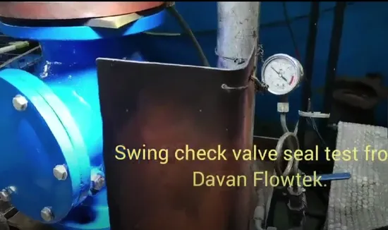 Cast Ductile Iron Ggg50 Wcb Flanged with Damper Water Pn16 Swing Check Valve 