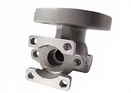 Cast Iron Foot Valve/Stainless Steel Butterfly Valve Parts/Cast Iron Globe Valve Pn16/Swing Check Valve Body Casting