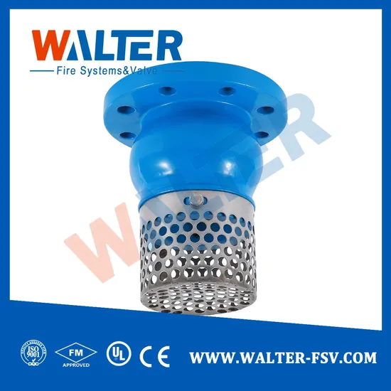Cast Iron Foot Check Valve 