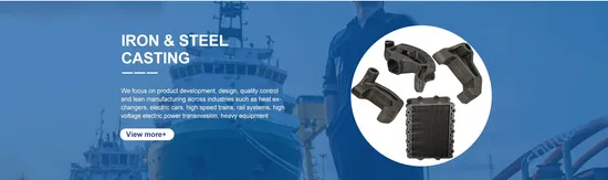 Custom Precision Ductile Iron Casting Check Valve Covers Valve Part 