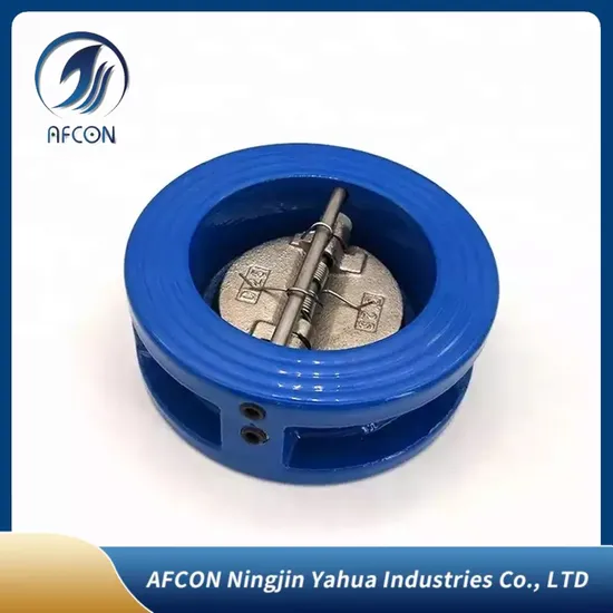 Wholesale High Quality Horizontal Check Valve Casting with ISO Certificate 