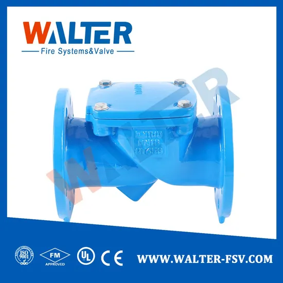 Cast Iron Flange Check Valve 