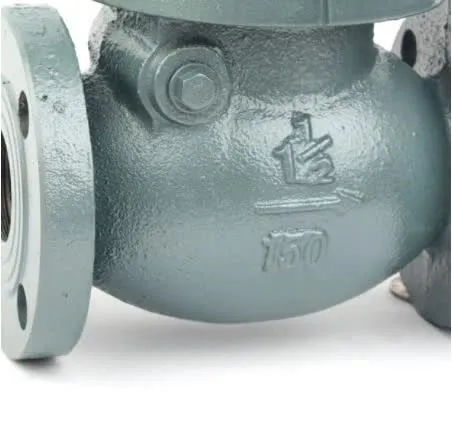 Cast Iron Swing Check Valve 